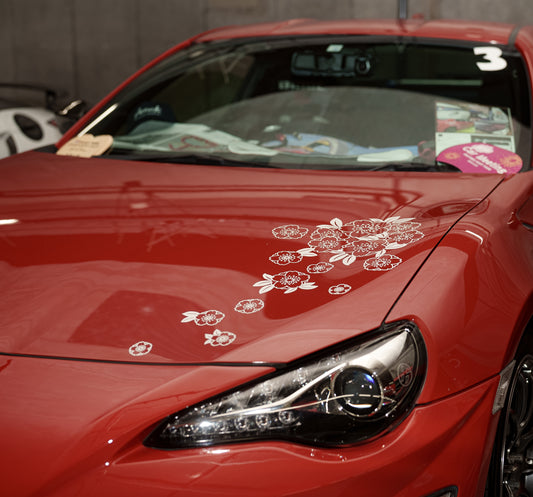 和桜グラフィックス R